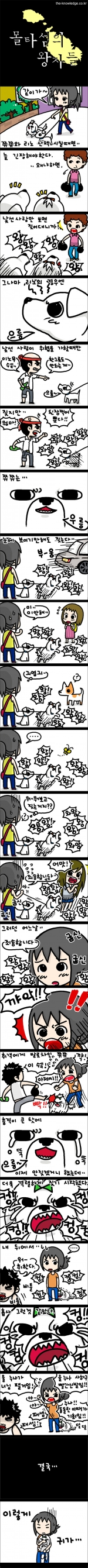 미리보기 이미지